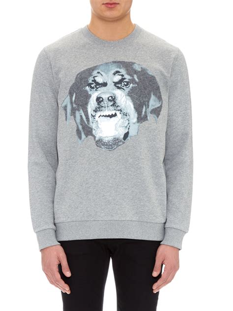 givenchy rottweiler grey